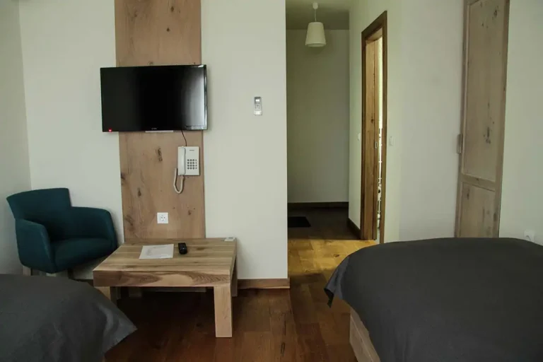 Twin room with two separate beds at Villa Panuka Pancevo